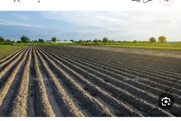اجاره زمین کشاورزی آبی