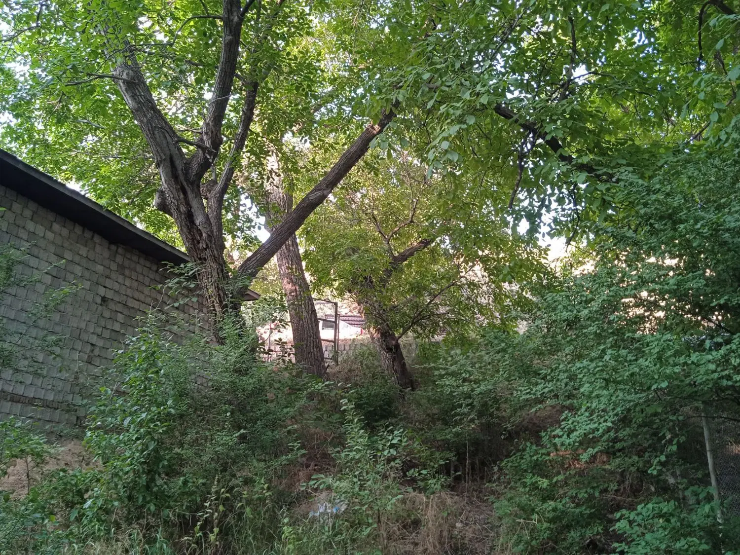 فروش زمین روستای مرجان