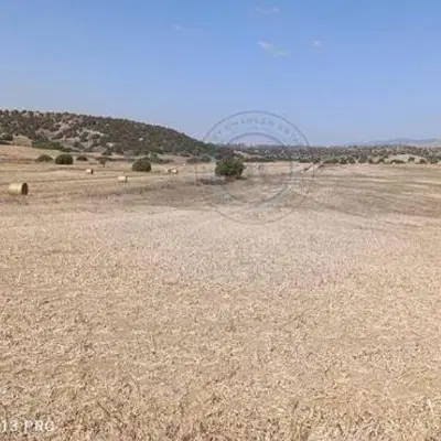 فروش زمین کلنگی در روستای بنوبند پارسیان