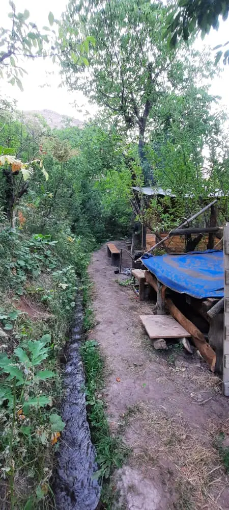 کلبه ی سنتی