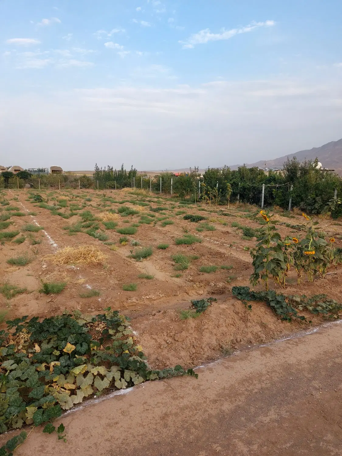 فروش زمین کشاورزی تفریحی