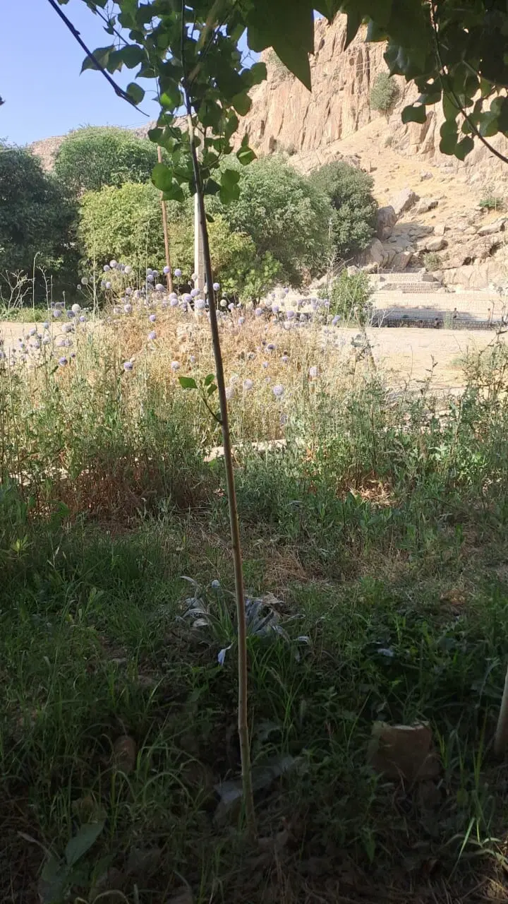 فروش زمین مسکونی