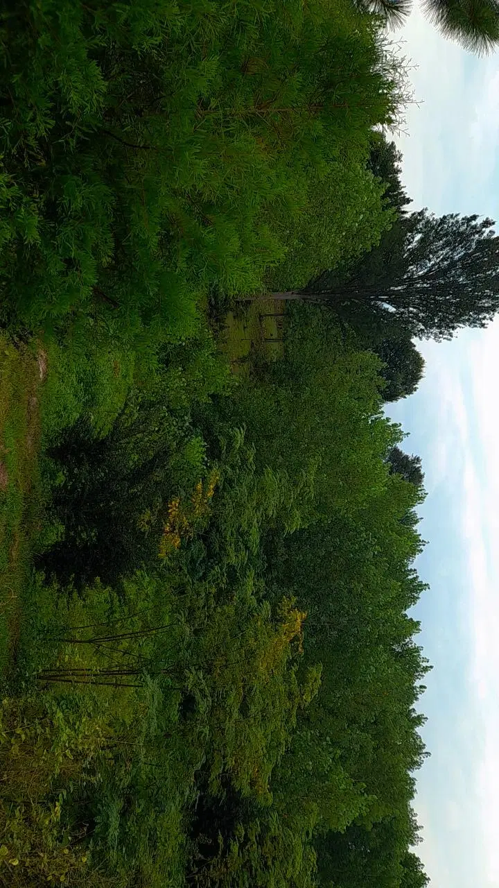 خانه و ویلا