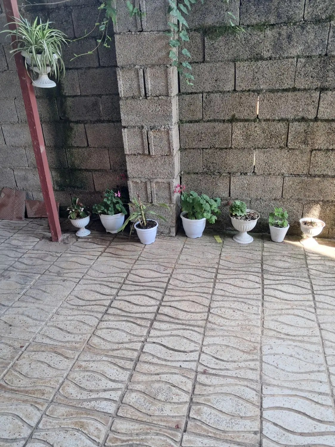 ویلااجاره روزانه۹۰مترباامکانات کامل