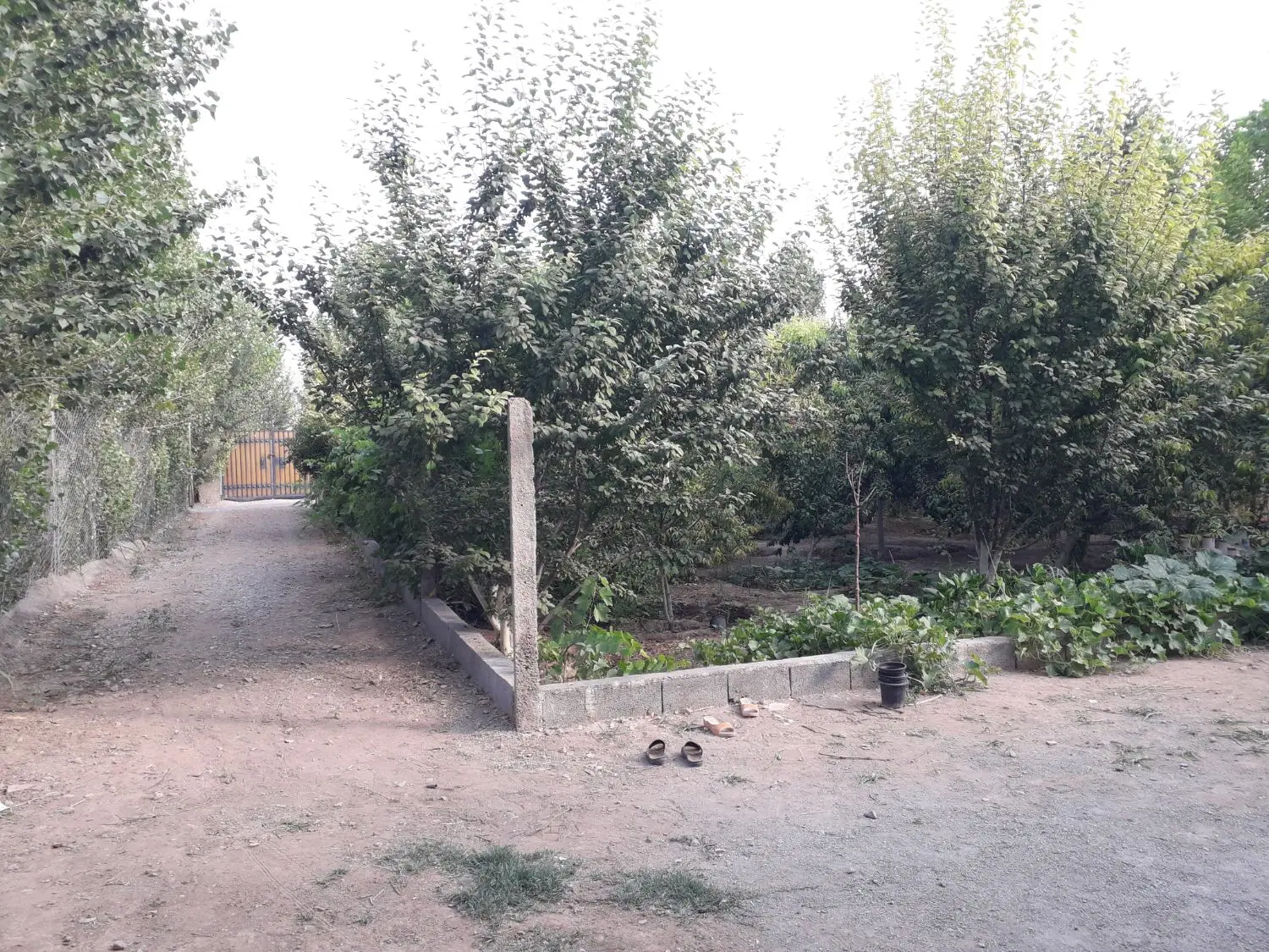 باغچه امین آباد شهر ری