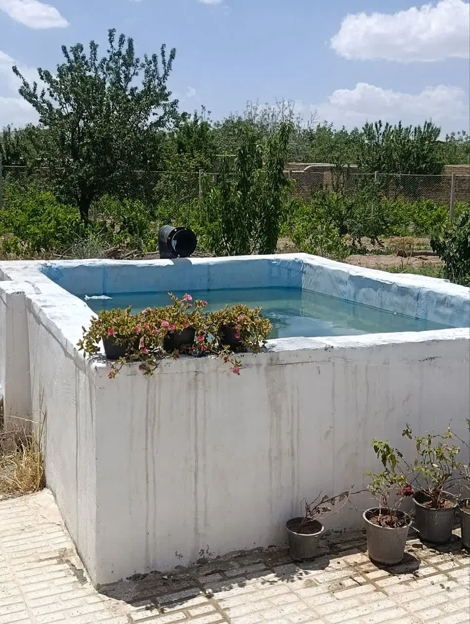باغ