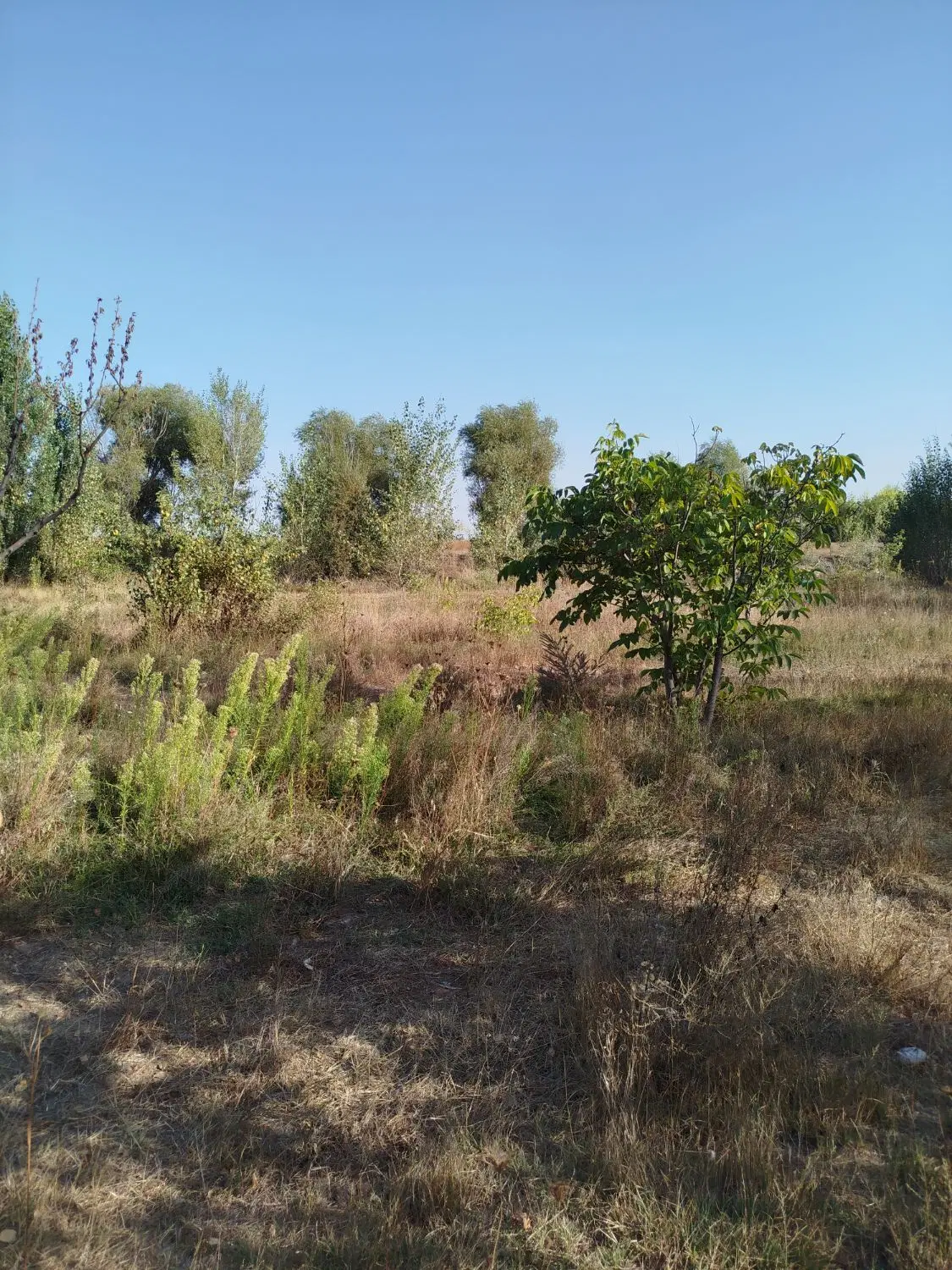 اردبیل شهرستان نمین روستای نوشنق