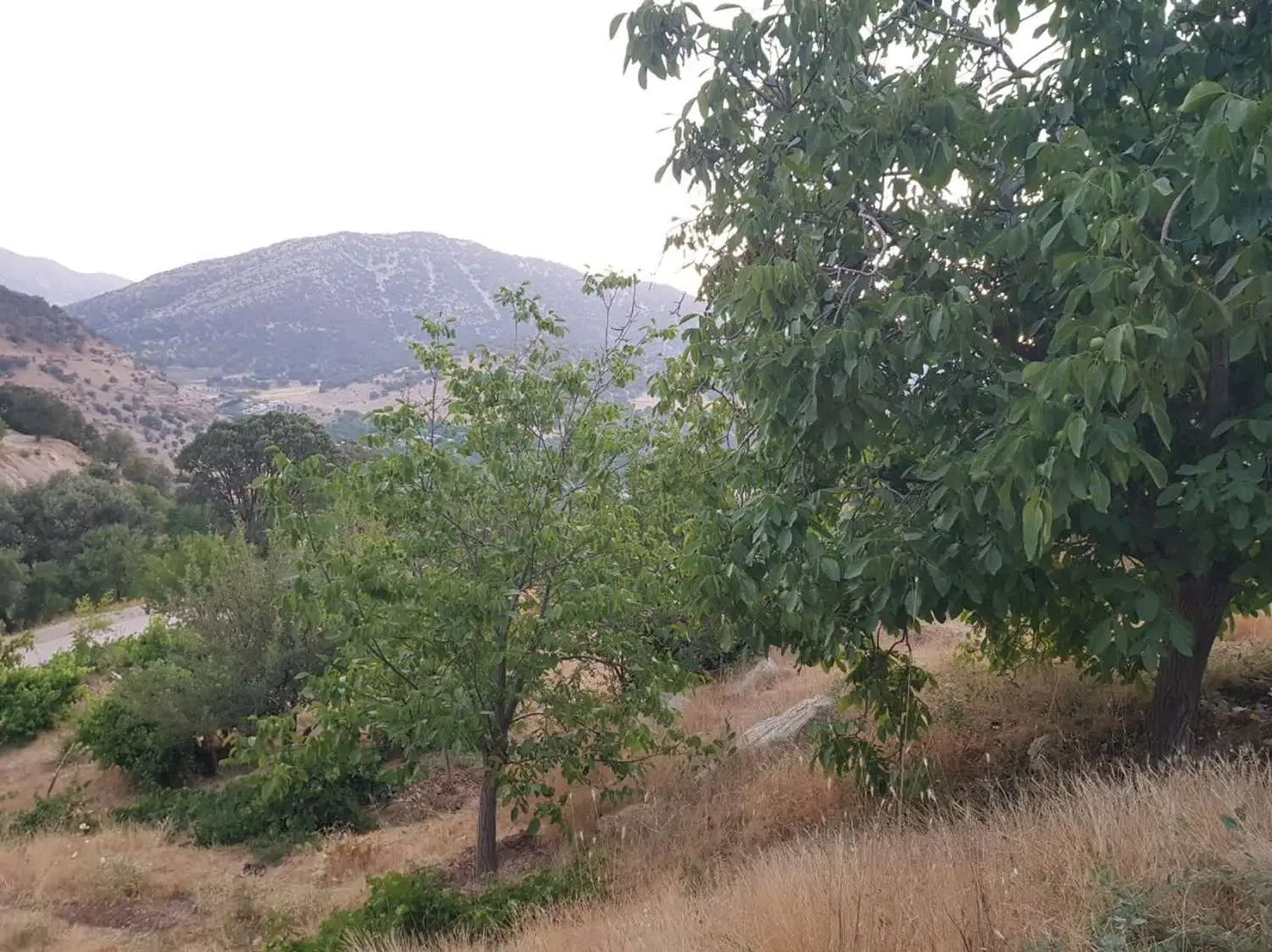 ۸۰۰ متر زمین با چشم انداز ابدی قلات
