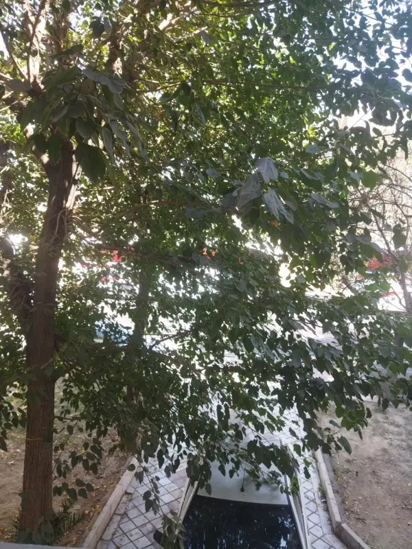 ساختمان شخصی سه طبقه کلنگی93متر