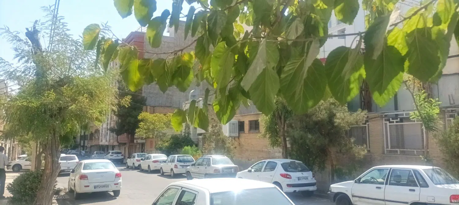 اپارتمان۱۶۰مترسخواب دانشجو و موارد دیگر رهن اجاره