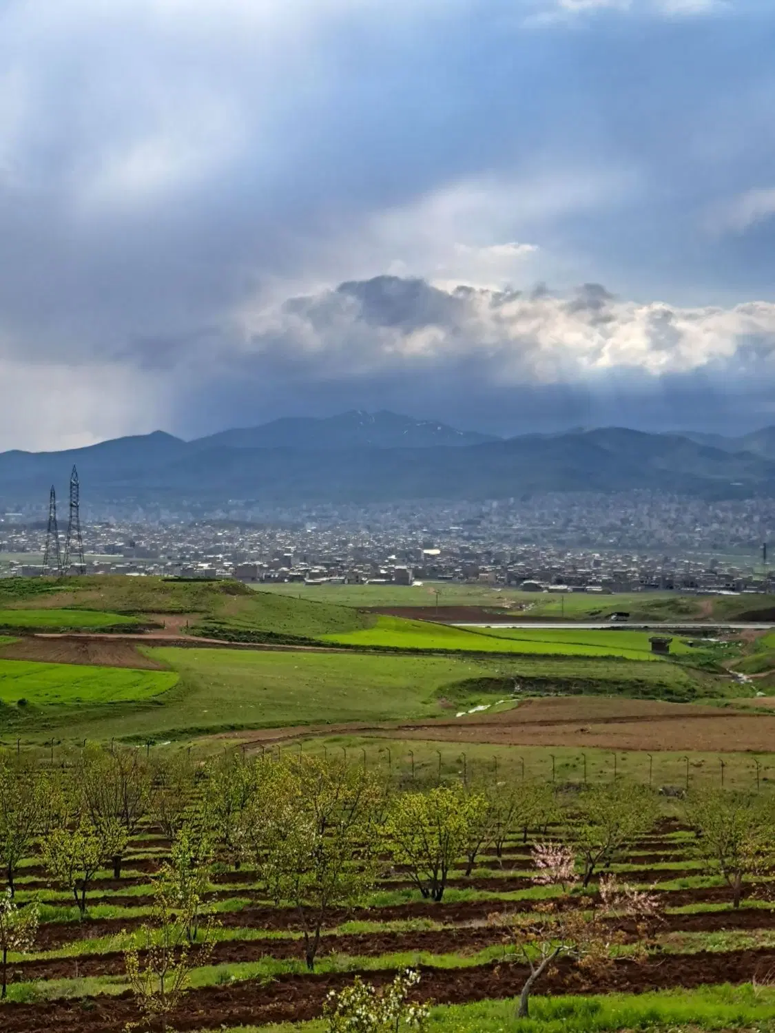 فروش زمین مناسب باغ