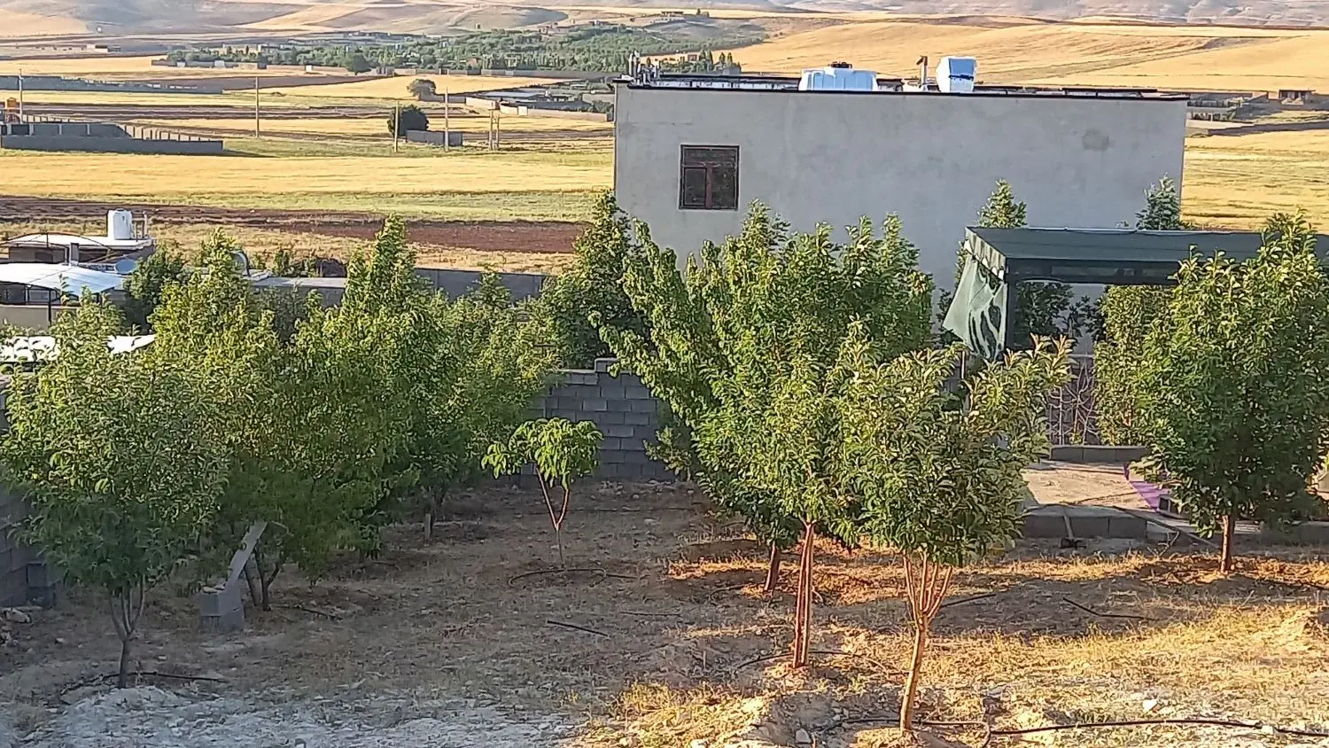 باغ الیاس آباد