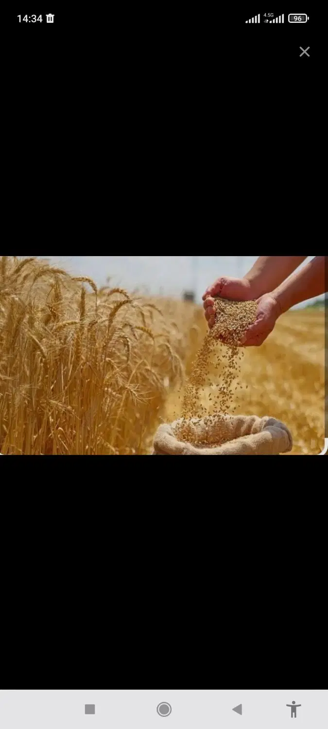 اجاره زمین کشاورزی