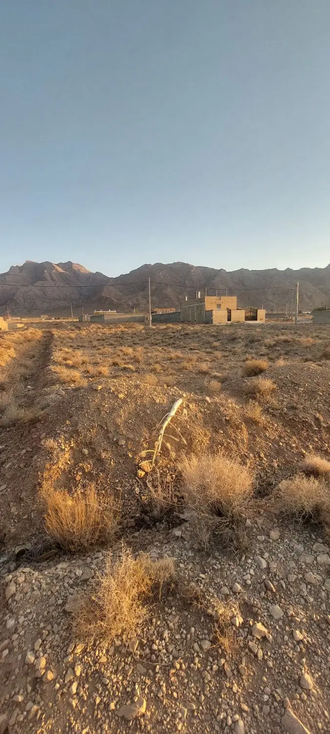 ۲۴قصب اوایل جوپارستان معاوضه