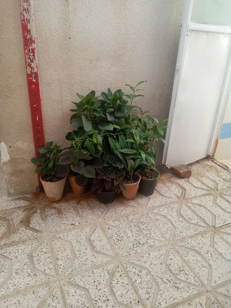 منزل ویلای امتیاز کامل