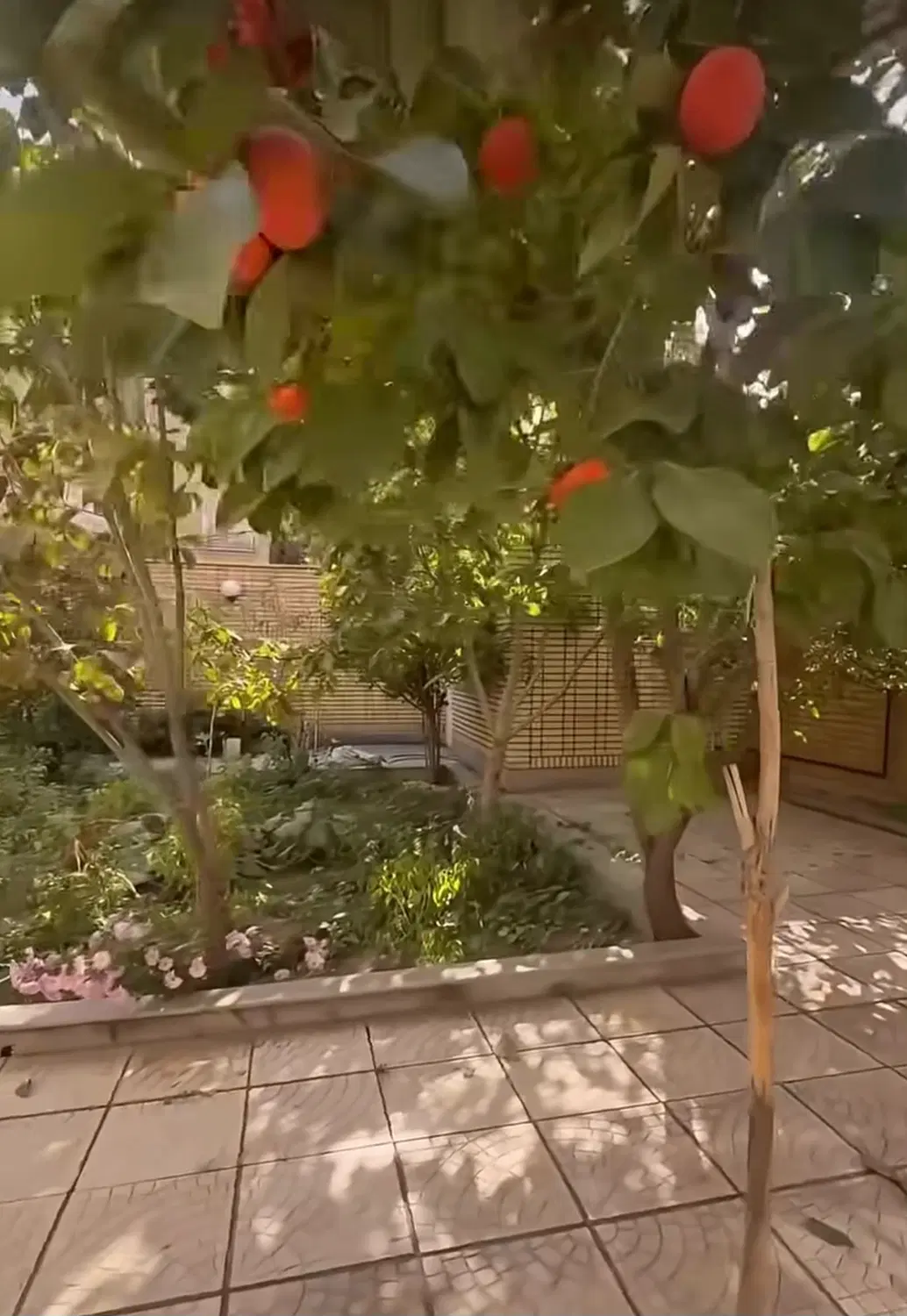 ولیعصر نظامی
