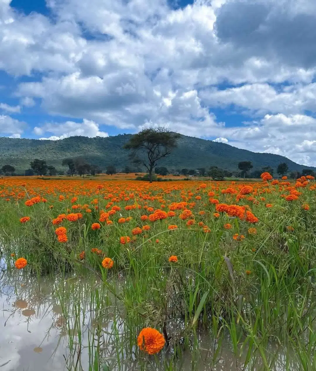 زمین با بنا قیمت استثنایی مناسب سرمایه‌گذاری