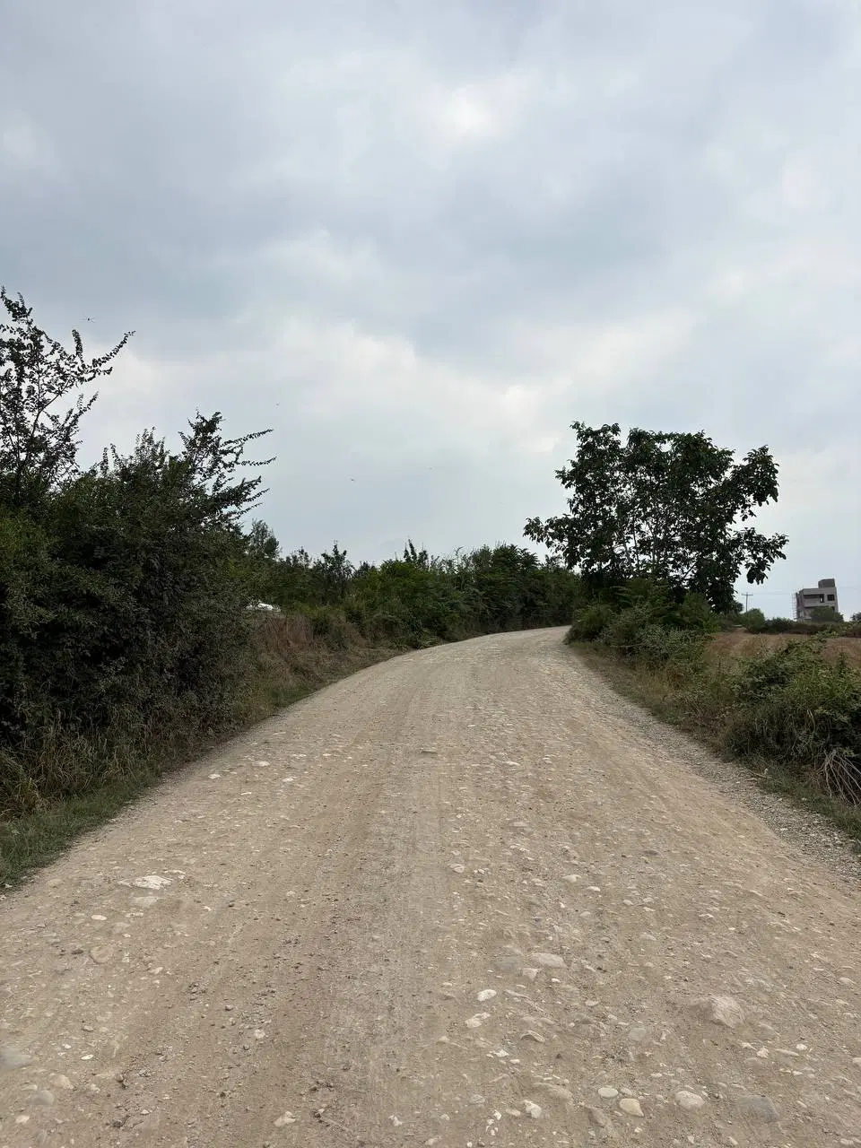 زمین در شموشک بالا