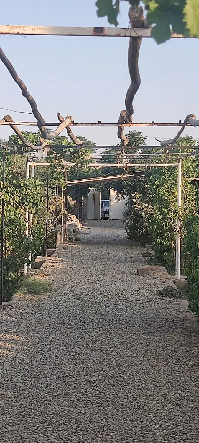 باغچه
