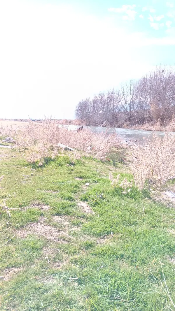 زمین فروشی جهت باغچه ویلا