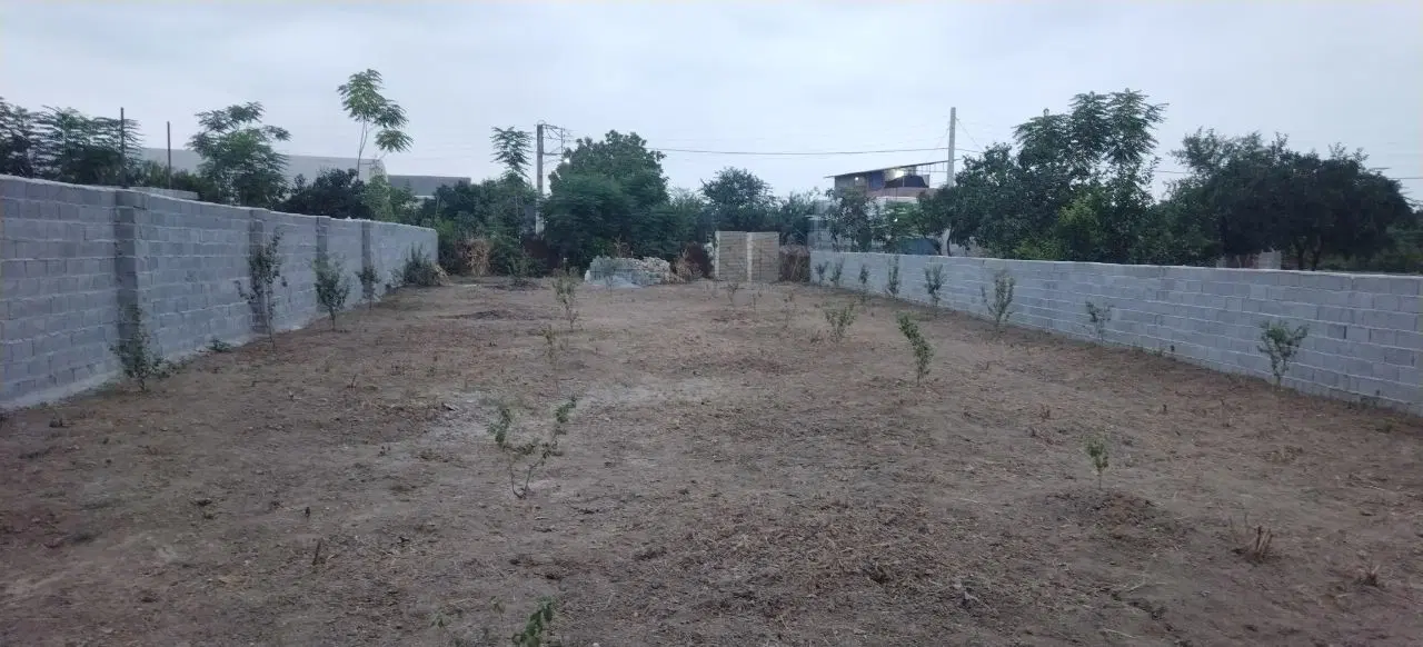 زمین ۶۳۸ متر چمازکتی
