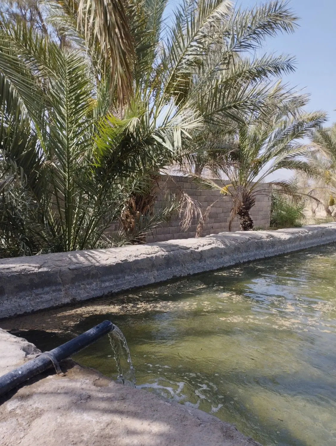 فروش یک هکتار زمین سند دار