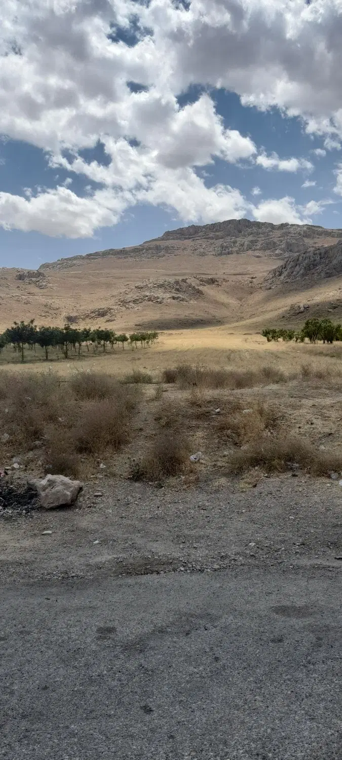 فروش زمین