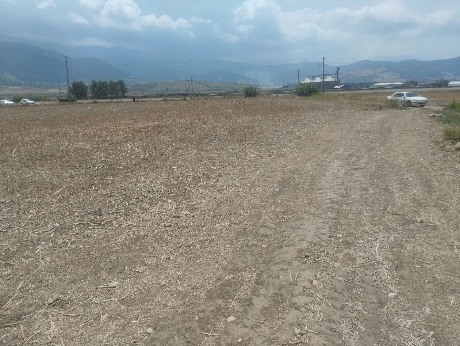 فروش زمین کشاورزی