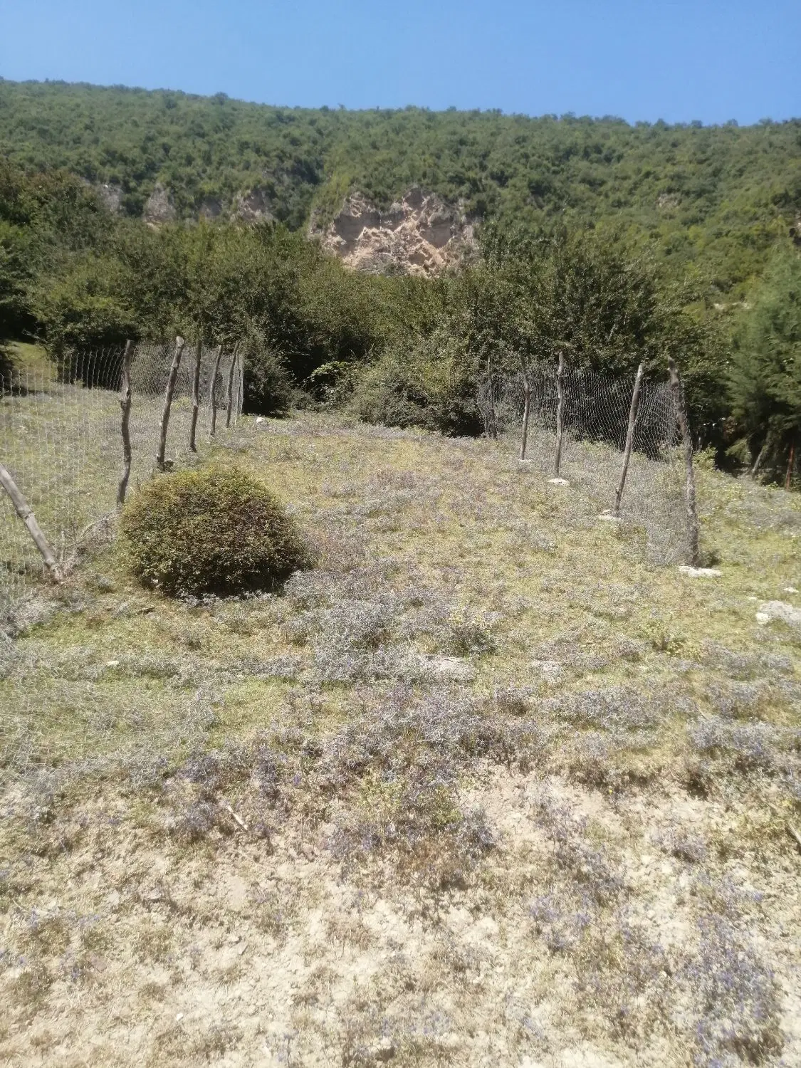 زمین در استل سر زیارت