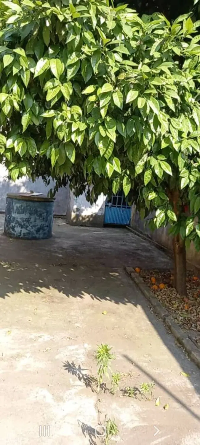 ویلایی۲۵۰متر