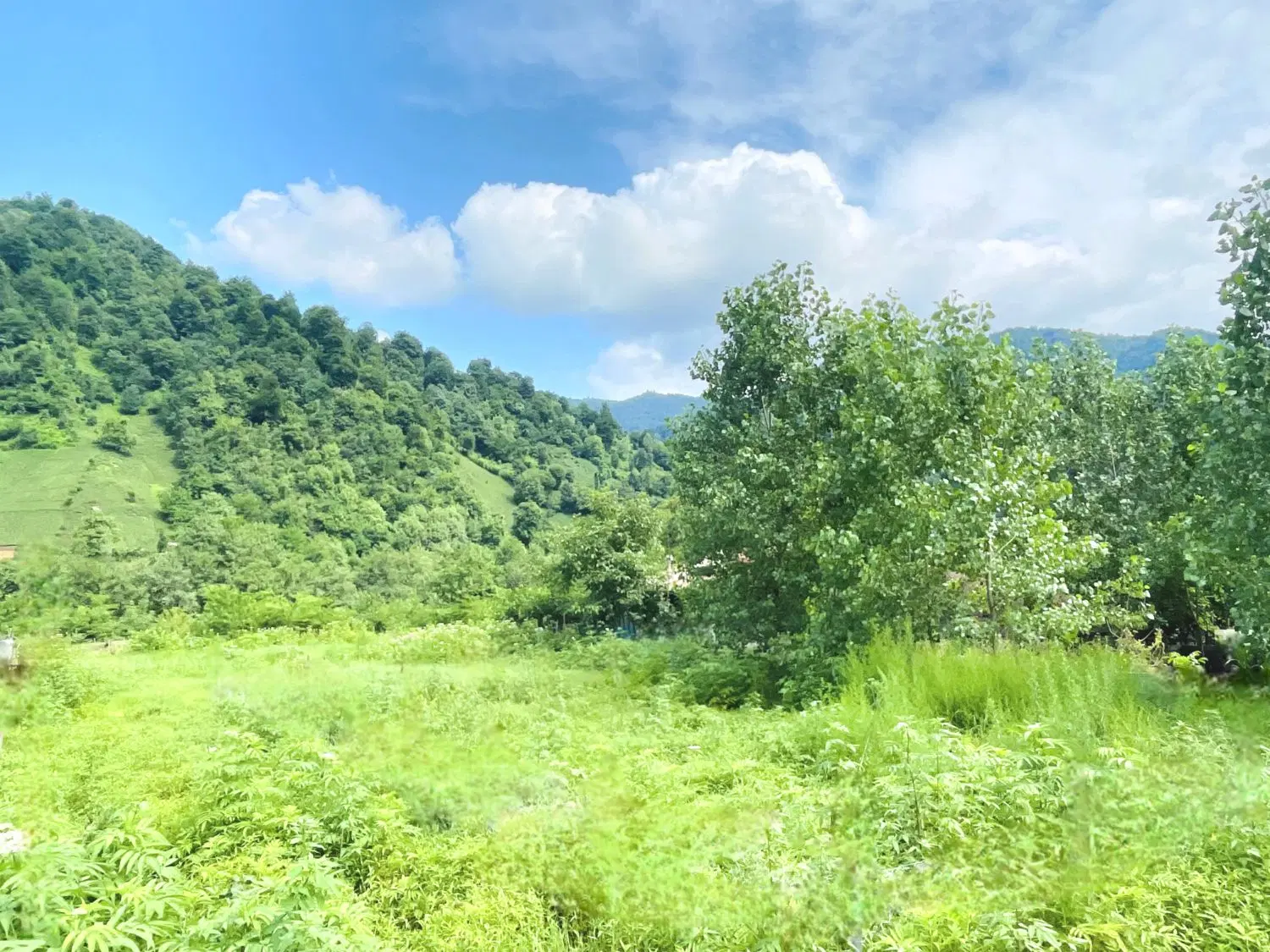 قطعه بهشتی زمین و بنای نیمه کاره ۴ هزار متری