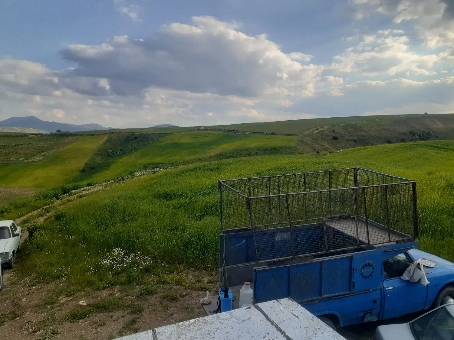 زمین کشاورزی