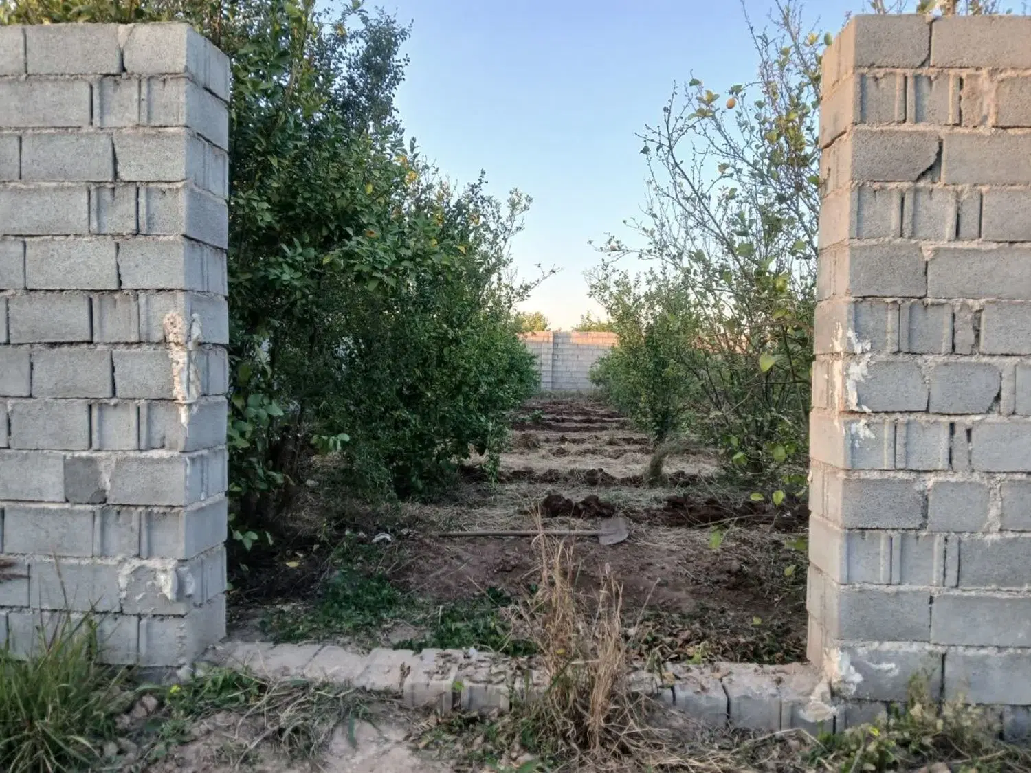 باغچه با دیوار در قلعه نو شمس اباد