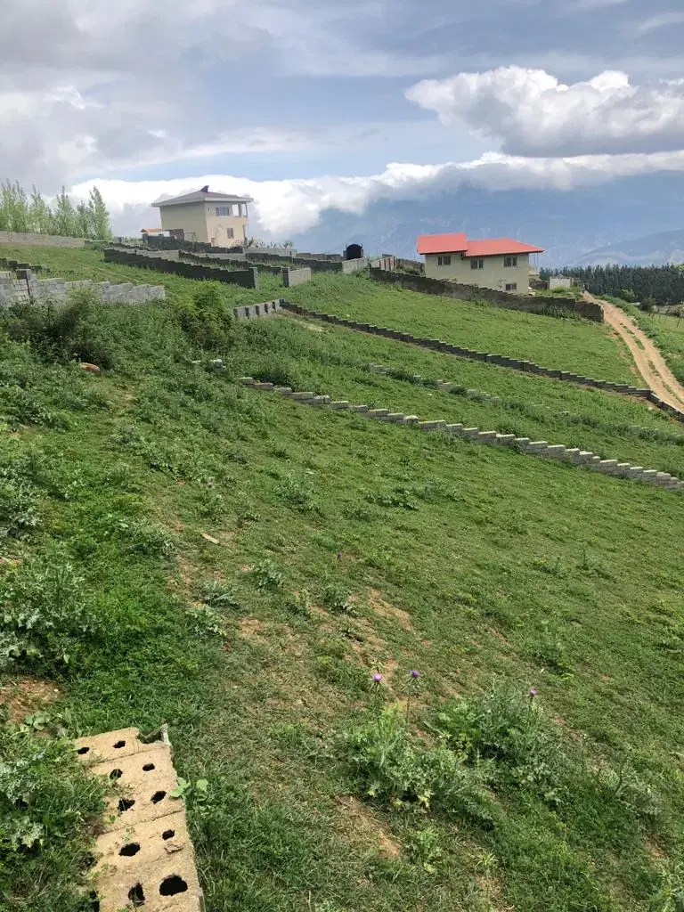 زمین جاده مرزن آباد به کلاردشت روستای پردنگون