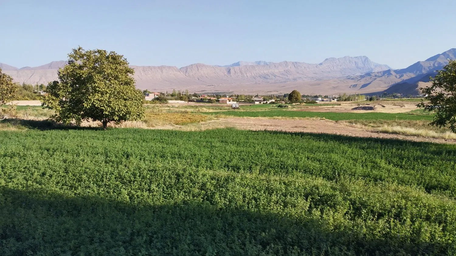 زمین کشاورزی زنگی آباد