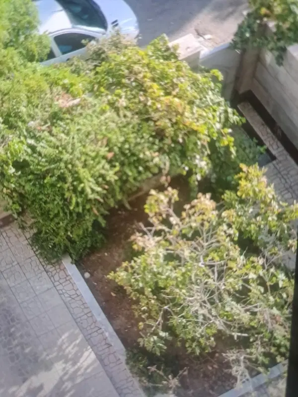 فروش آپارتمان