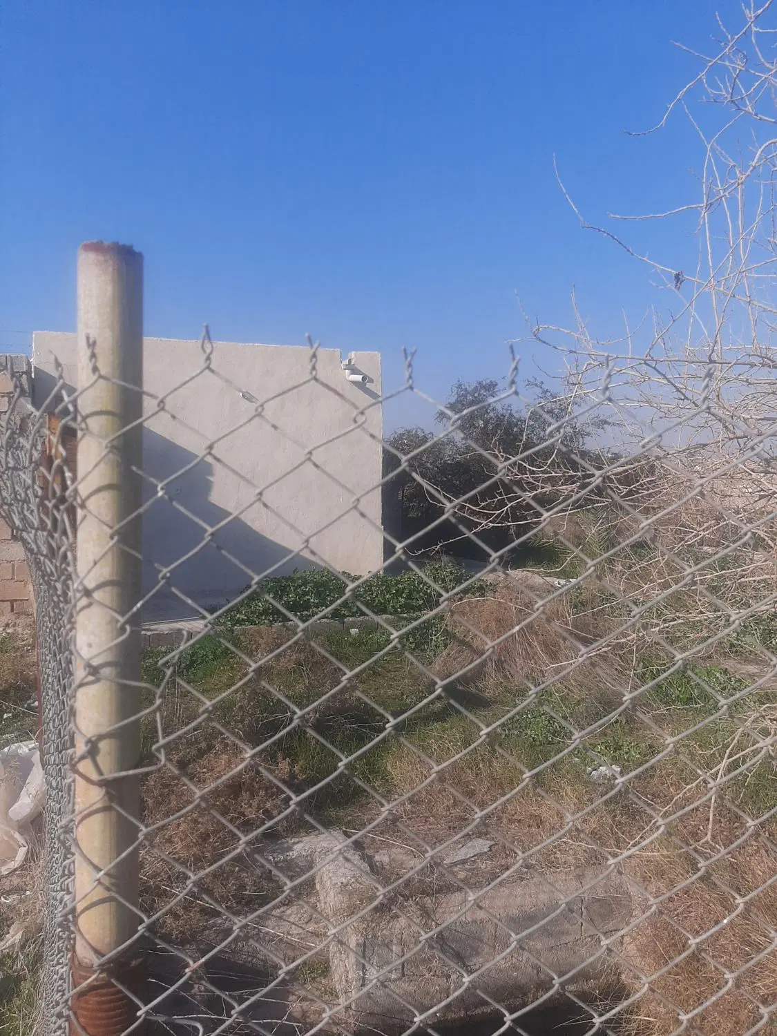 زمین ملاصدرا
