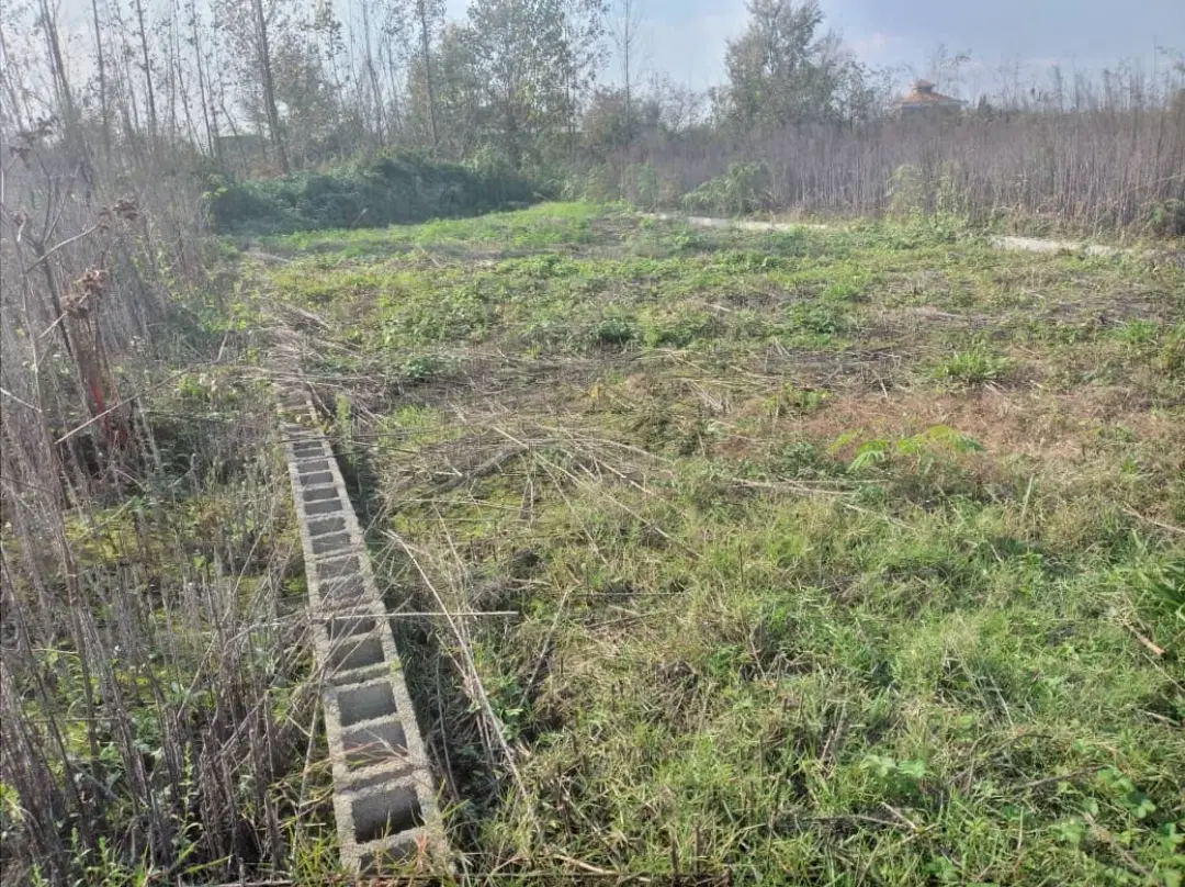 زمین ۳۵۰ متری لادمخ صومعه سرا