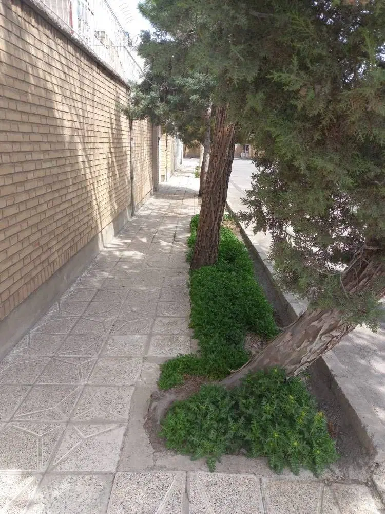 فروش آپارتمان