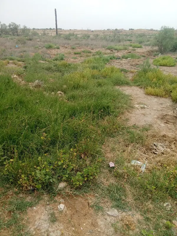 زمین واسه فروش