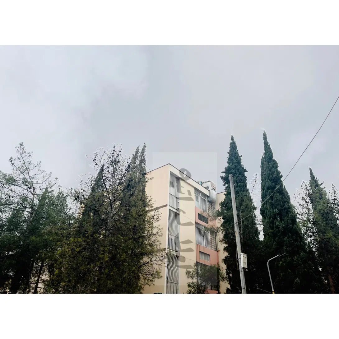 فرانسوی ساز گلدشت معالی آباد