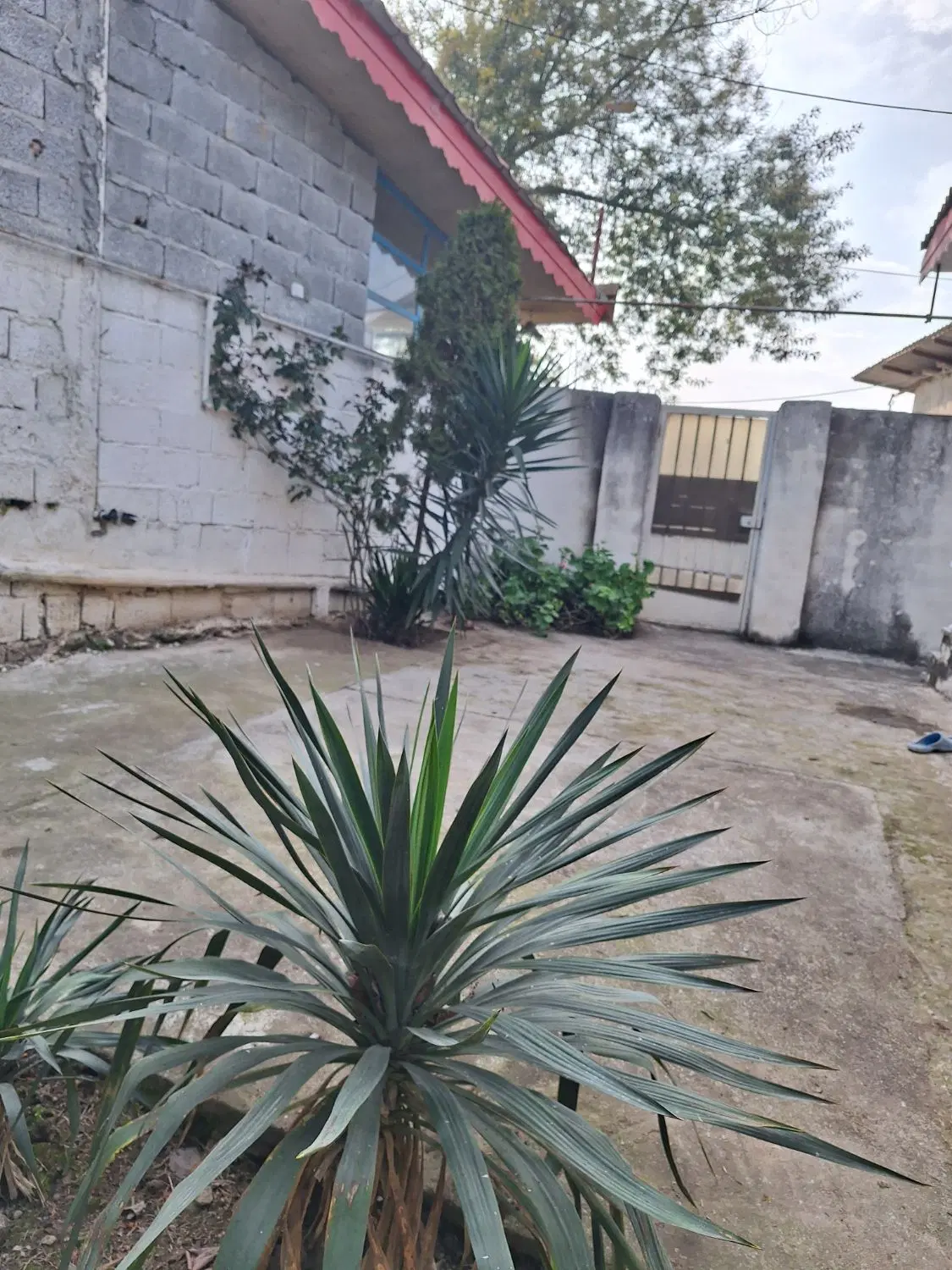 چلاسر ۳۸۰ متر سند دار