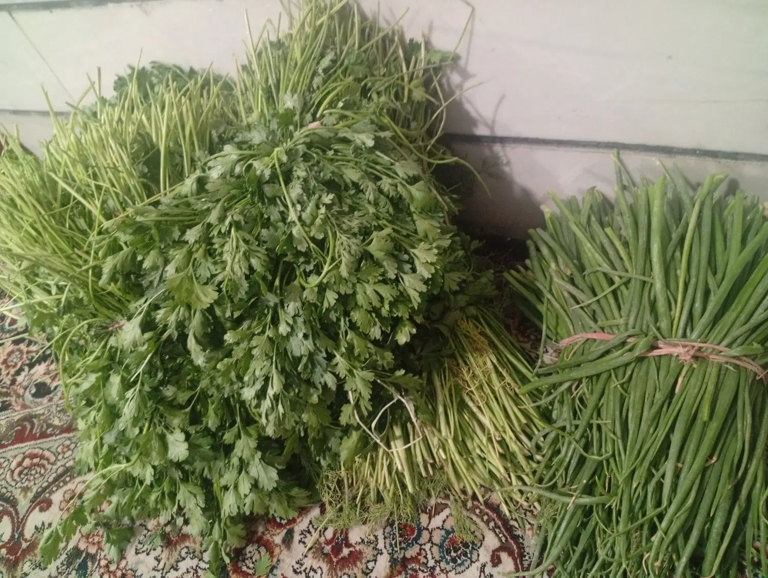 اجاره زمین کشاورزی