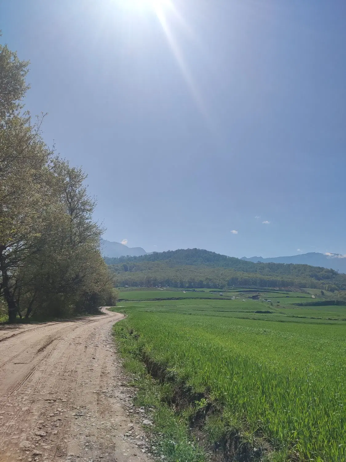 زمین شموشک