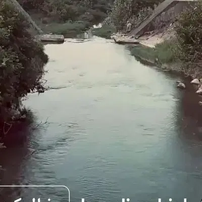 فروش باغ و سوله
