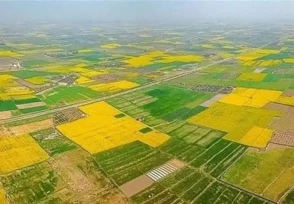 اجاره دادن زمین کشاورزی حومه فیروزآباد