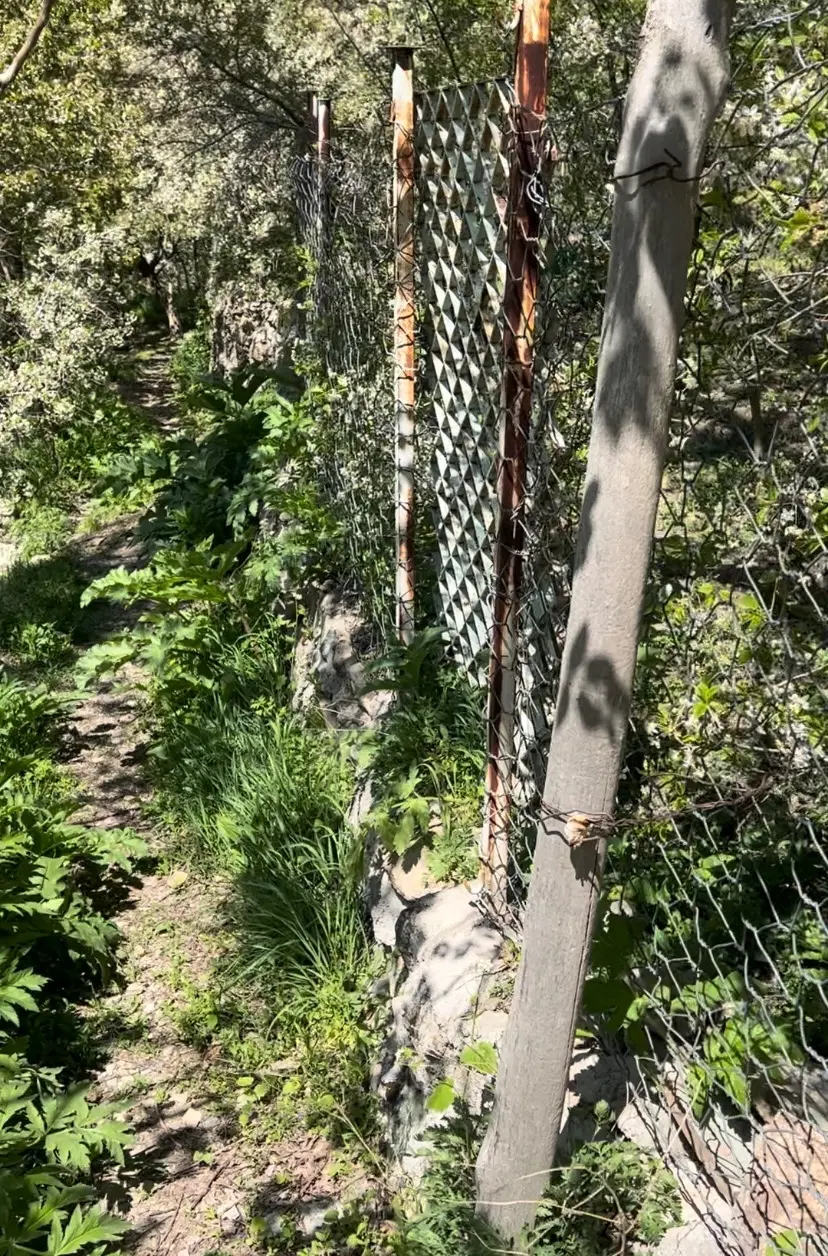زمین جاده چالوس روستای مورود