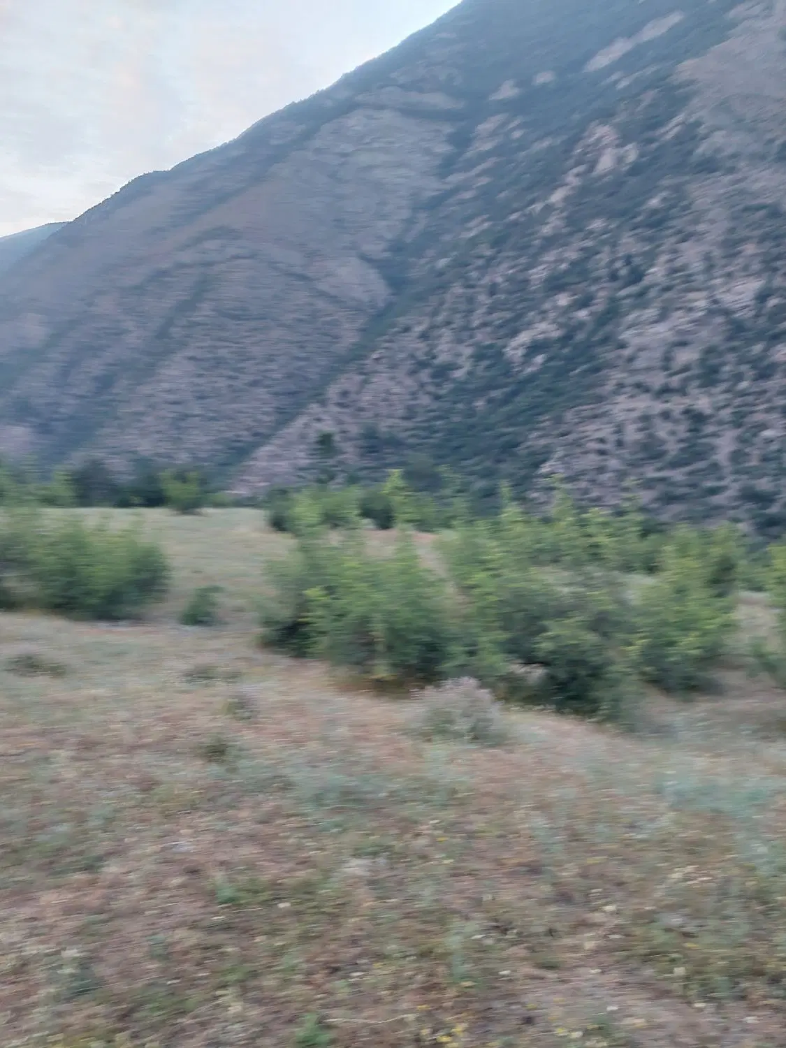 زمین کشاورزی ۲۳ هزار متر جاده چالوس