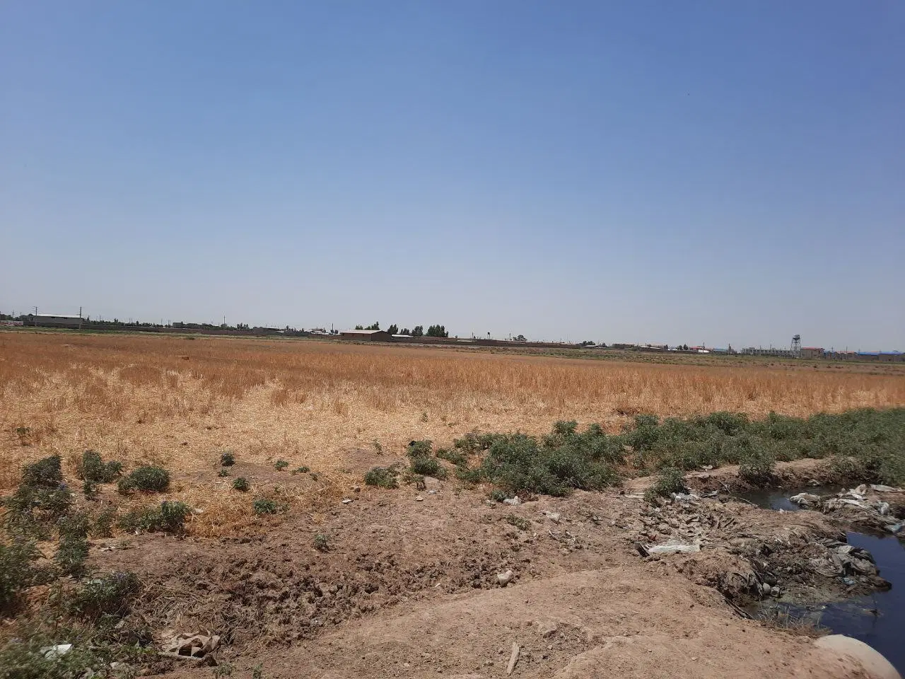 ۲ هکتار زمین کشاورزی در روستای ولی اباد قرچک