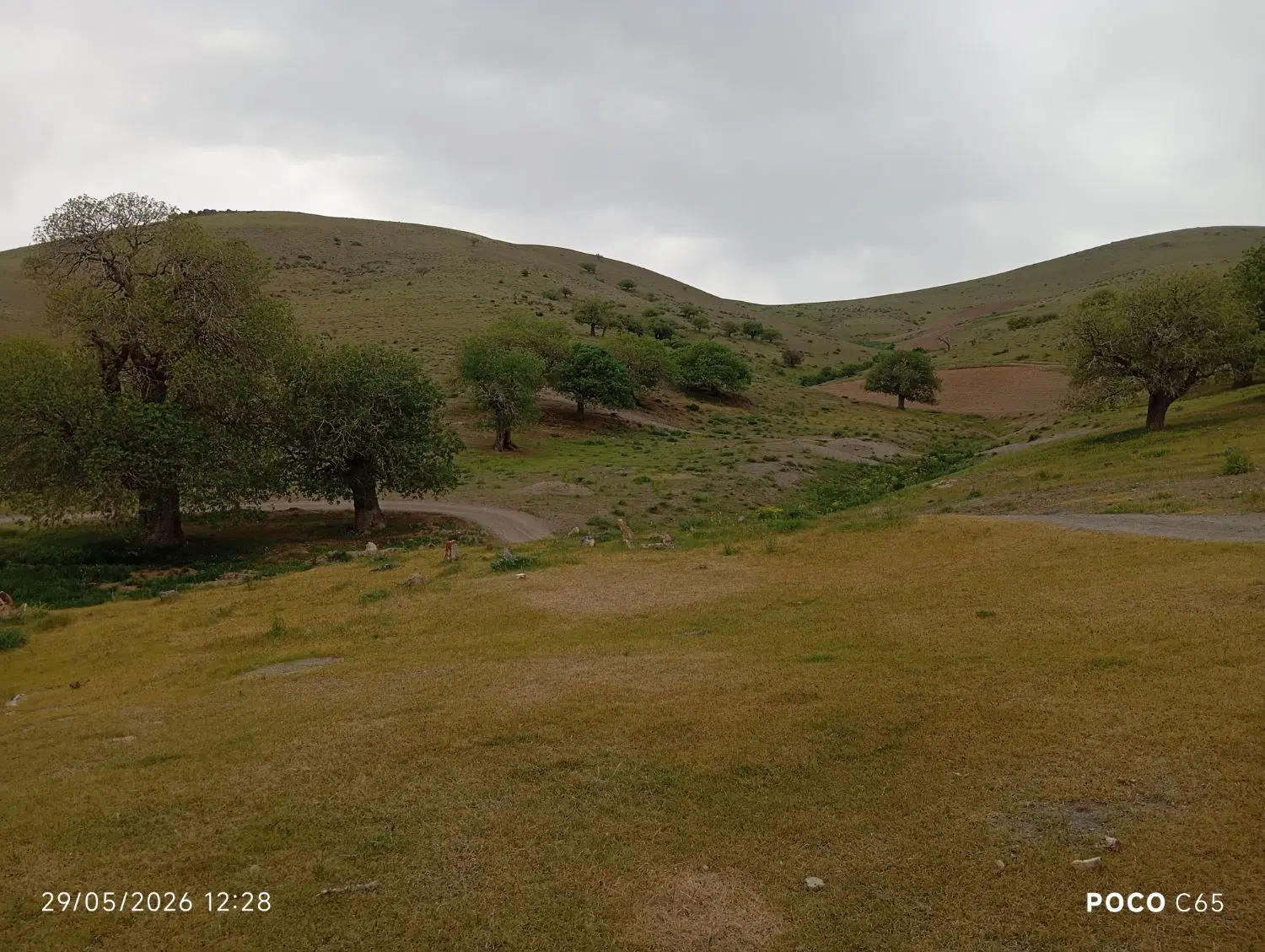 فروش زمین خانه باغی فرودگاه